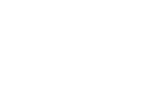 TD Holdings